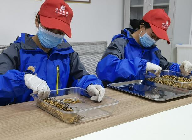 微信图片_20221214094601