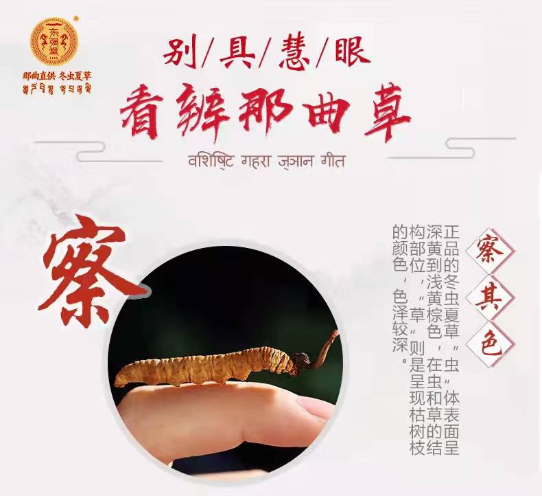 东强堂冬虫夏草